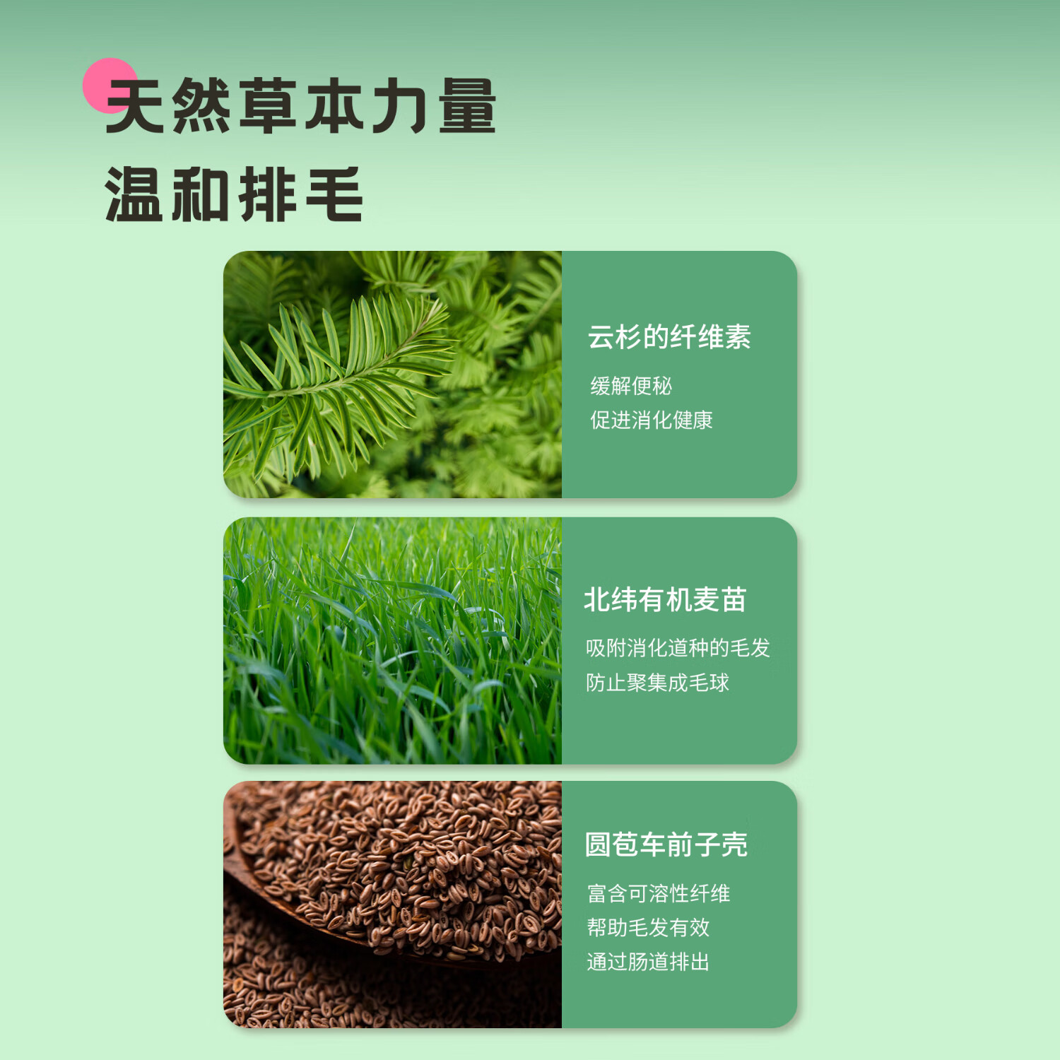 中鲨中鲨营养补充剂排毛化毛营养膏猫咪专用益生元去吐毛球幼猫化毛膏 150g（5g*30袋）