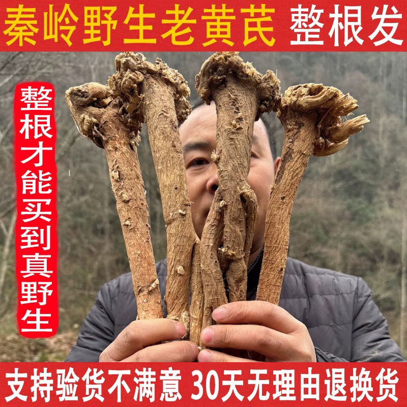 唯昱记 甘肃野生黄芪 500g【整根】黄氏正宗北芪条泡水煲汤泡酒中药材 20年野芪【整根发货】 250g*1袋