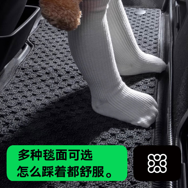 车麒方程豹豹5脚垫适用于23-25款全包围专用电动方程豹5豹五tpe汽车 方程豹豹5【单层款】碳纤纹脚垫 方程豹豹5/2023-2025款