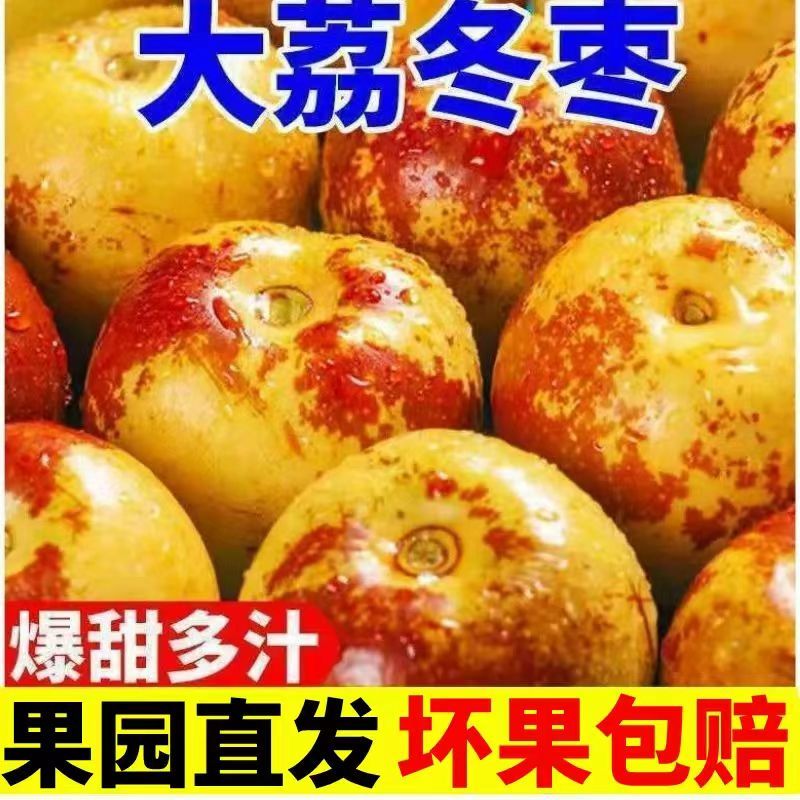 【顆顆脆甜】陜西大荔冬棗新鮮現(xiàn)摘棗子 應(yīng)季時令脆甜大棗整箱 凈重3斤 普通裝