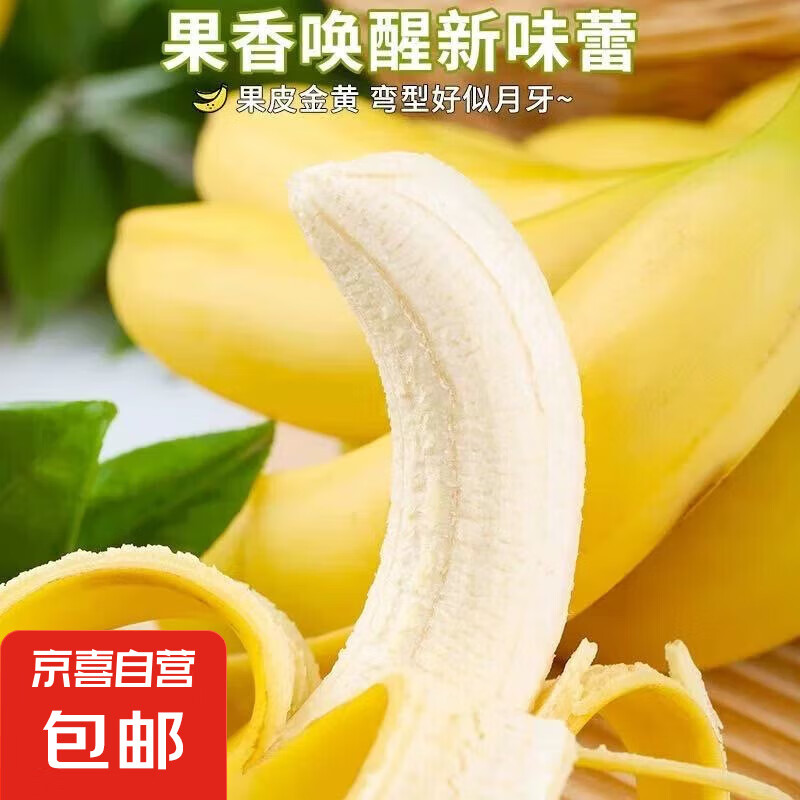 海南甜香蕉 现摘现发 到货3-5天可食用新鲜水果 海南超甜香蕉 1斤 香甜