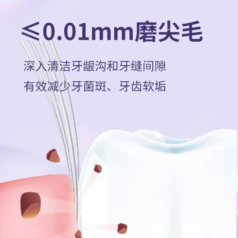 朗利洁炭丝软毛牙刷小头便携情侣家庭装4支/盒独立防尘护套 竹炭软毛彩盒 12支