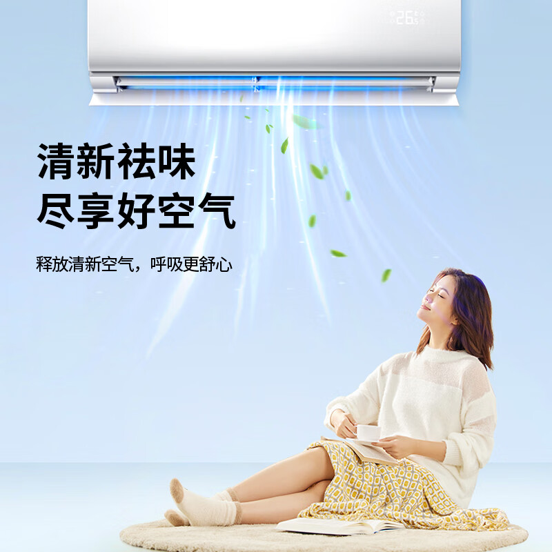 格绿家用空调消毒剂500ml 杀菌消毒除臭99.999%清洁免拆洗 家用空调消毒剂500ml单支 500ml