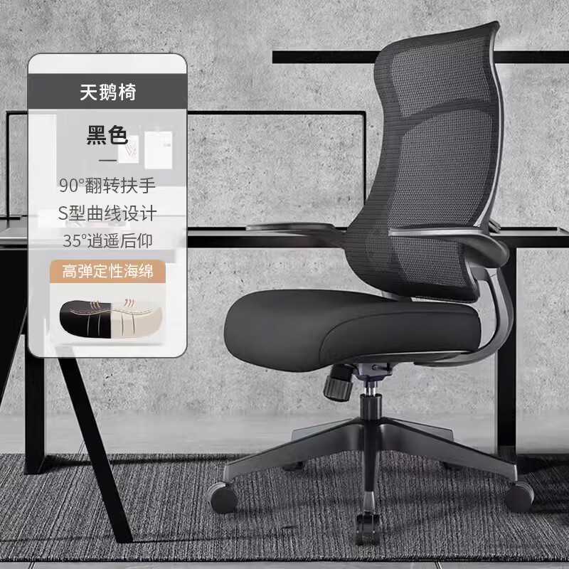 恒林天鵝椅學(xué)習椅子家用久坐舒適人體工學(xué)電腦椅書(shū)桌辦公座椅轉椅 黑色+翻轉扶手 尼龍腳_旋轉 升降扶手