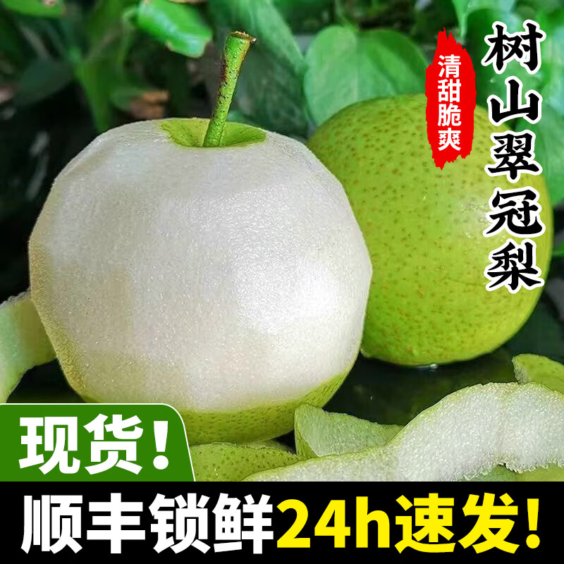 菲农【顺丰现货】正宗苏州树山翠冠梨子新鲜水果现摘当季礼盒砀山脆蜜 顺丰秒发 8-9两8颗 礼盒装