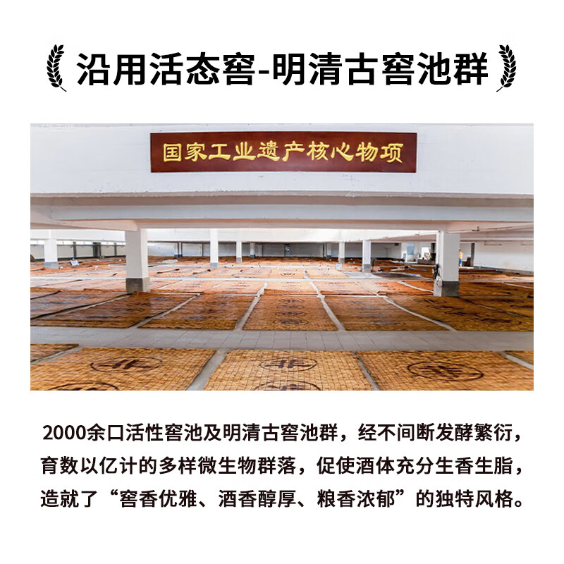 沙城老窖金标浓香型白酒纯粮酿造固态发酵【中国酒王食品博览会金奖】送礼 42度 460mL 6瓶