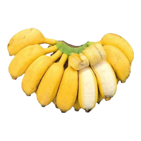 ���ڹ���ƻ�����㽶 ����ˮ�� ���� ����5�� 14.9Ԫ