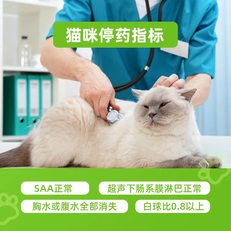 44I1猫腹传干性反复发烧黄疸湿性有腹水食欲差片剂猫腹传 加强版油剂6ml20浓度9瓶