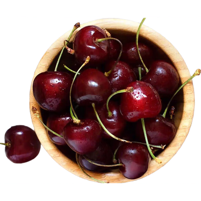 ������ GarcesFruit Lapins���������� 2J�� 5����� Դͷֱ�� 149Ԫ(����ȯ)