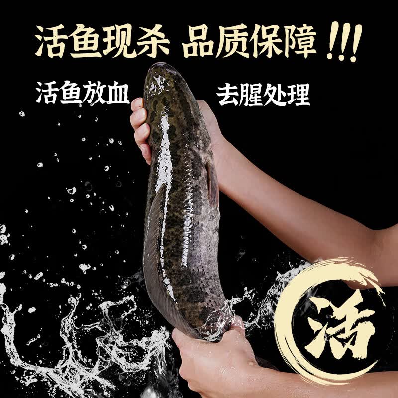 GUO LIAN国联水产免浆黑鱼片去骨鱼片半成品水煮鱼酸菜鱼鱼类火锅生鲜食材 【高性价比】免浆黑鱼片220g*10袋