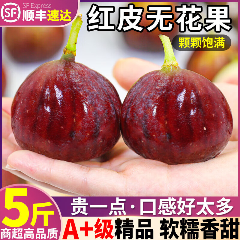 壹萌果蔬云南红皮无花果【JD顺丰多地次日达】新鲜无花果鲜果水果当季现摘 3斤7A精品大果【单果40g+】净2斤