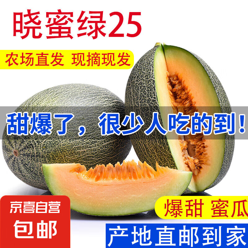 晓蜜25号爆甜哈密瓜新鲜现摘应季水果西州蜜 净重：3斤