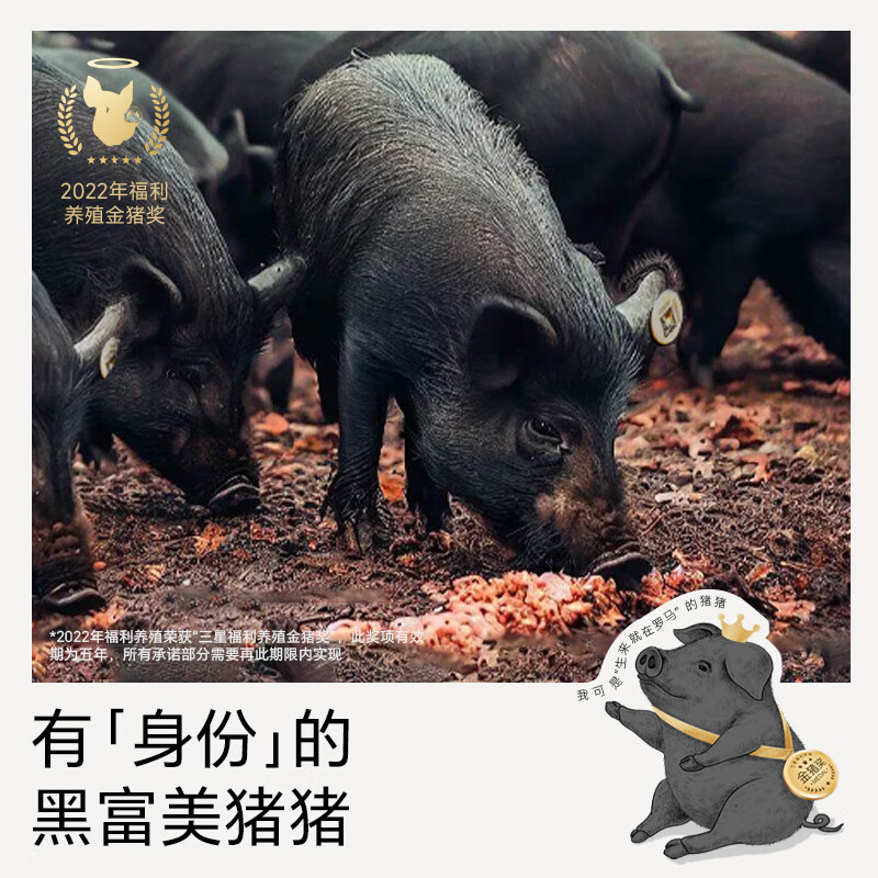 不二宝贝嵊州小笼包子儿童早餐加热速冷冻半成即食蒸品老面点馒头 儿童小笼包*4盒