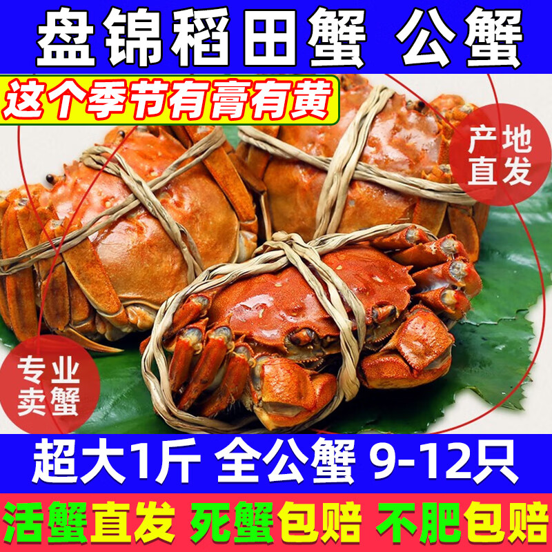 【活蟹】网兜蟹 盘锦河蟹鲜活稻田蟹大闸蟹稻田河蟹螃蟹去绳净重 公蟹丨满膏蟹0.9-1.2两【1斤】9-12只