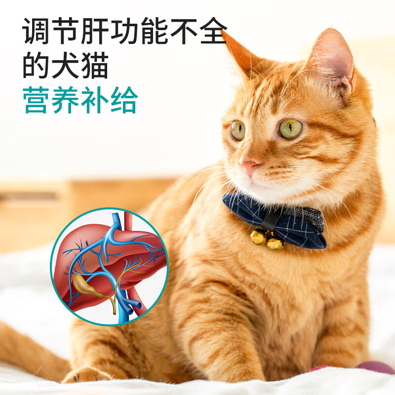汉维宠仕维加佳猫咪狗狗护肝补血铁呵护肝脏健康营养支持30片/盒 30片-4mg（小型犬/猫用） 犬猫通用