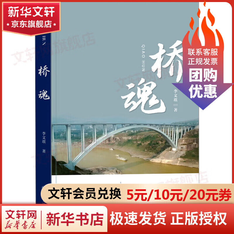 桥魂四川人民出版社李文琪 著 书籍 图书
