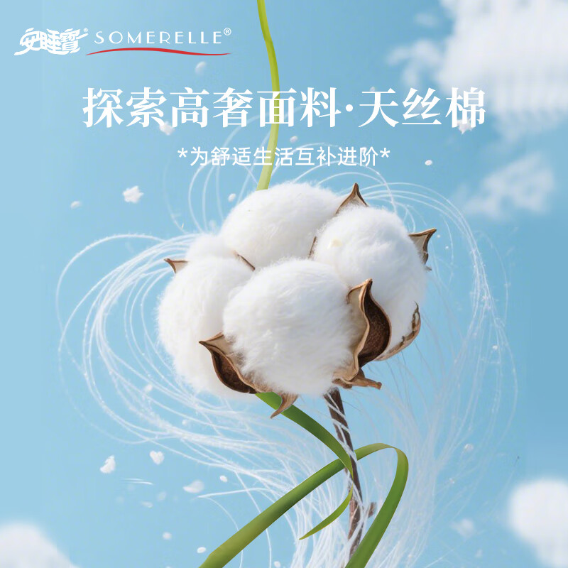 安睡宝（SOMERELLE）2026新款60支天丝棉磨毛四件套全棉轻奢高端床单被套秋冬季床品 60支天丝棉磨毛双人四套件-青雅集 床单款 （被套220*240cm） 特大