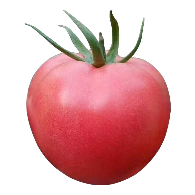 新鲜沙瓤西红柿自然成熟现摘现发番茄下蔬菜生鲜减肥单果80g+ 新鲜西红柿 2斤 带箱