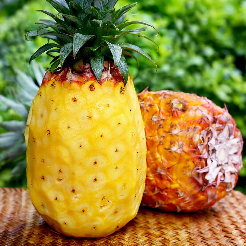 鲜友季海南金钻凤梨新鲜菠萝单果1.3-1.8斤现摘水果生鲜金菠萝 净重4.5-5斤(单果1.3斤起)