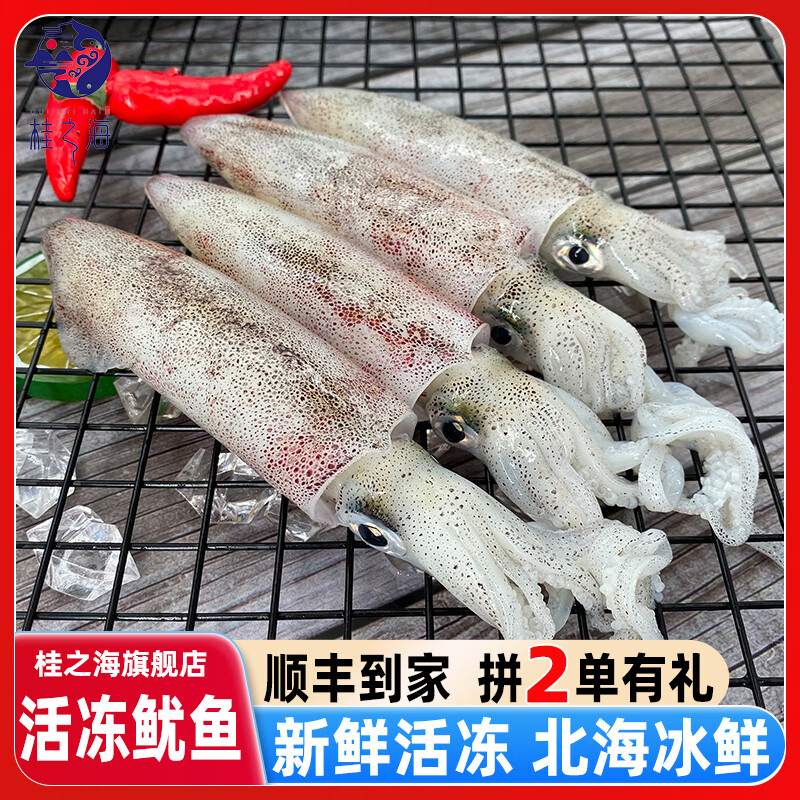 桂之海 桂(GUIZHIHAI)活冻北海鱿鱼新鲜冷冻海鲜白灼芥末烧烤火锅鲜活冰鲜大尤鱼 400g/3盒【16-20条/包,活冻鱿】共2.4斤