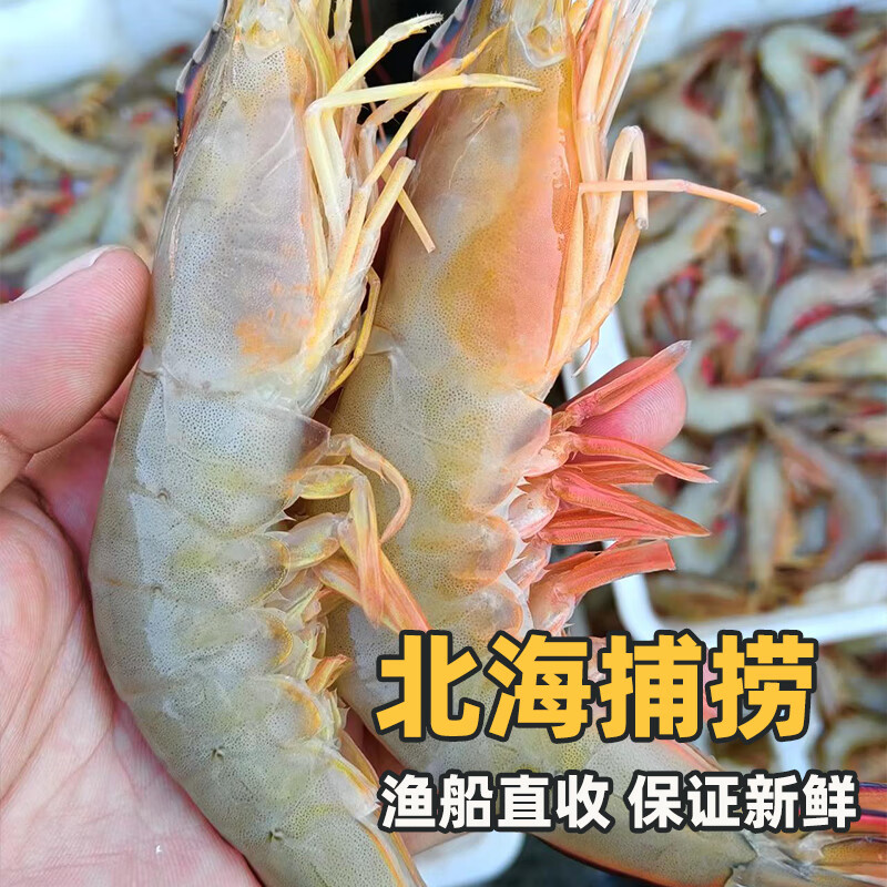 桂之海 桂北海凤尾虾新鲜冷冻海虾去头壳去虾线海鲜特大开背明虾对虾蝴蝶虾 250g(净重)  每包 3包特大号【20-22只/包】共1.5斤