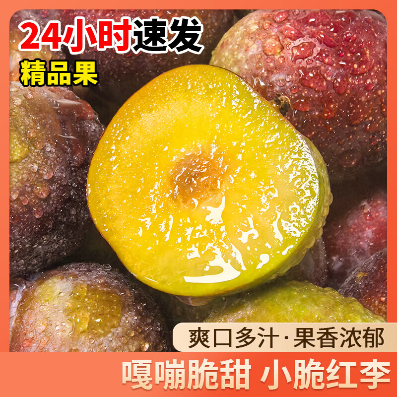 酷果汇正宗四川五月脆李5斤净重