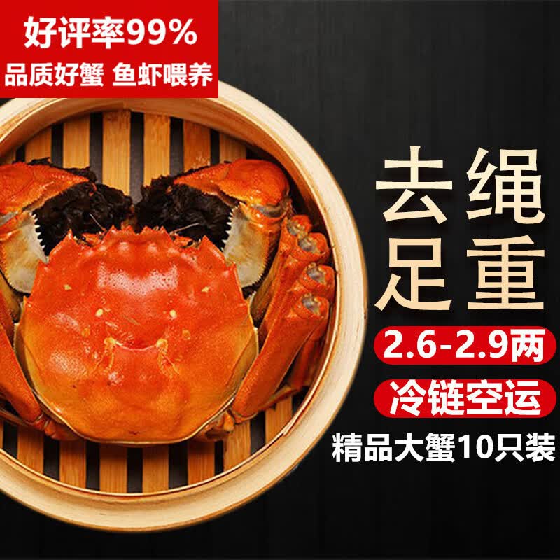 【活蟹】湖鲜阳澄 大闸蟹 去绳足重 2.6-2.9两 10只 鲜活六月黄现货超大螃蟹水产礼盒装