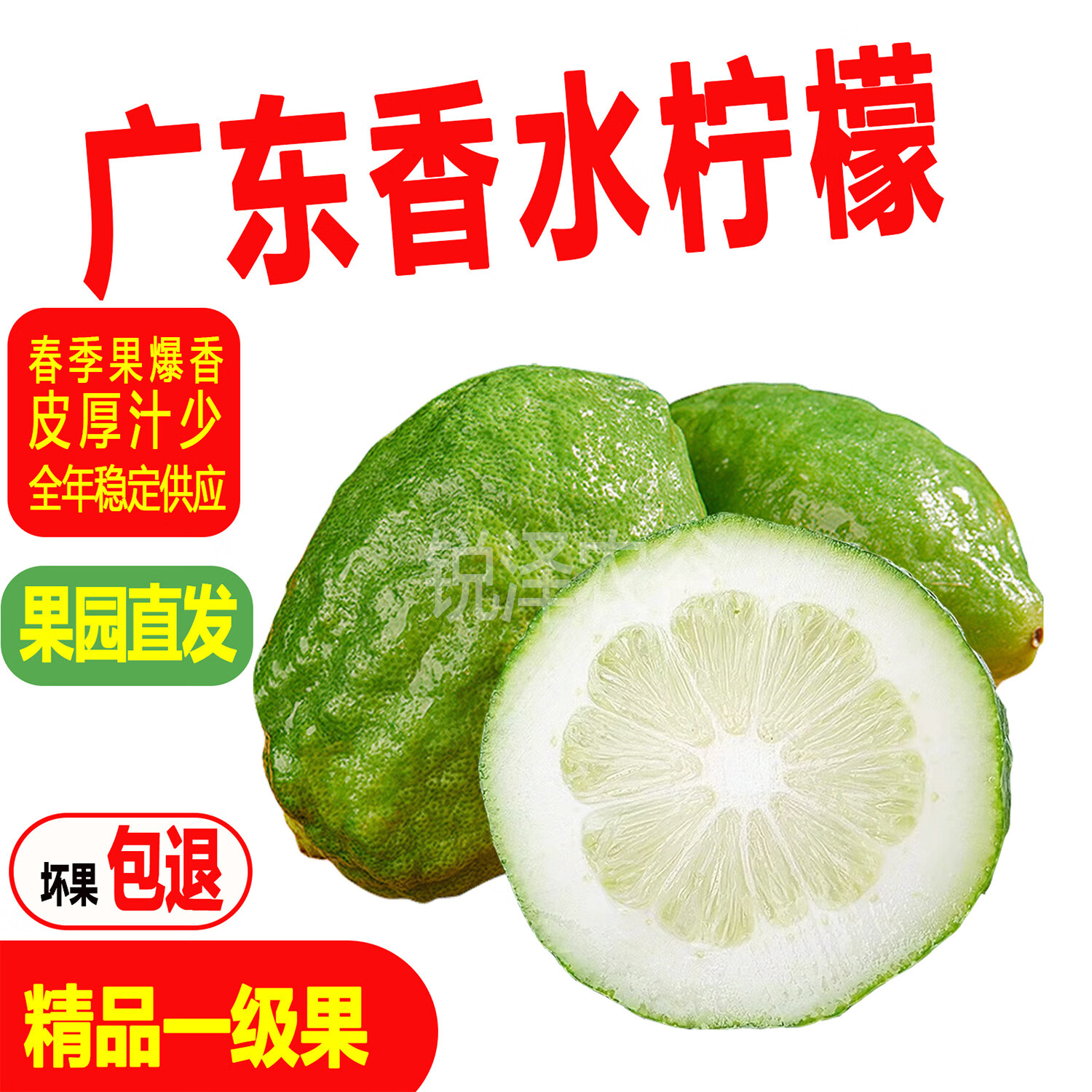 正宗广东香水柠檬爆香新鲜无籽柠檬精品一级果 18斤一级果【奶茶店高复购】 中果【70-99克】