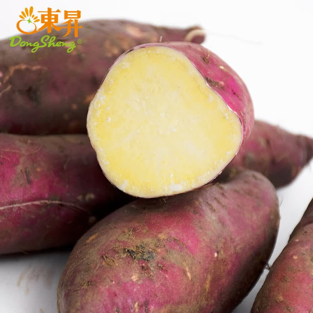 東昇(DongSheng)东升1号蜜薯大果 3斤/10斤 栗粉香甜 广州发货 中通包邮 10斤