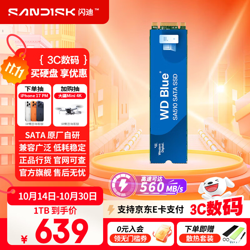 西部数据（WD）笔记本台式机电脑 SSD固态硬盘 SA510 SATA M.2 Blue系列 3D技术 高速读写 WD Blue M.2 | 性能款 500G