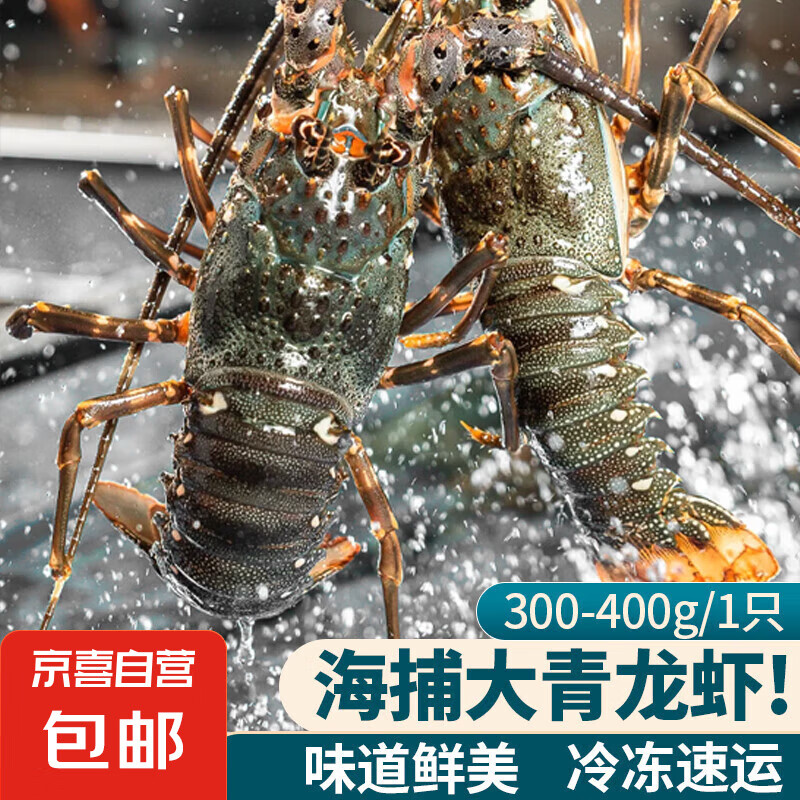 СϺ䶳شϺٶʻϺϺˮ 6-8/ֻС 1ֻ119Ԫȯ