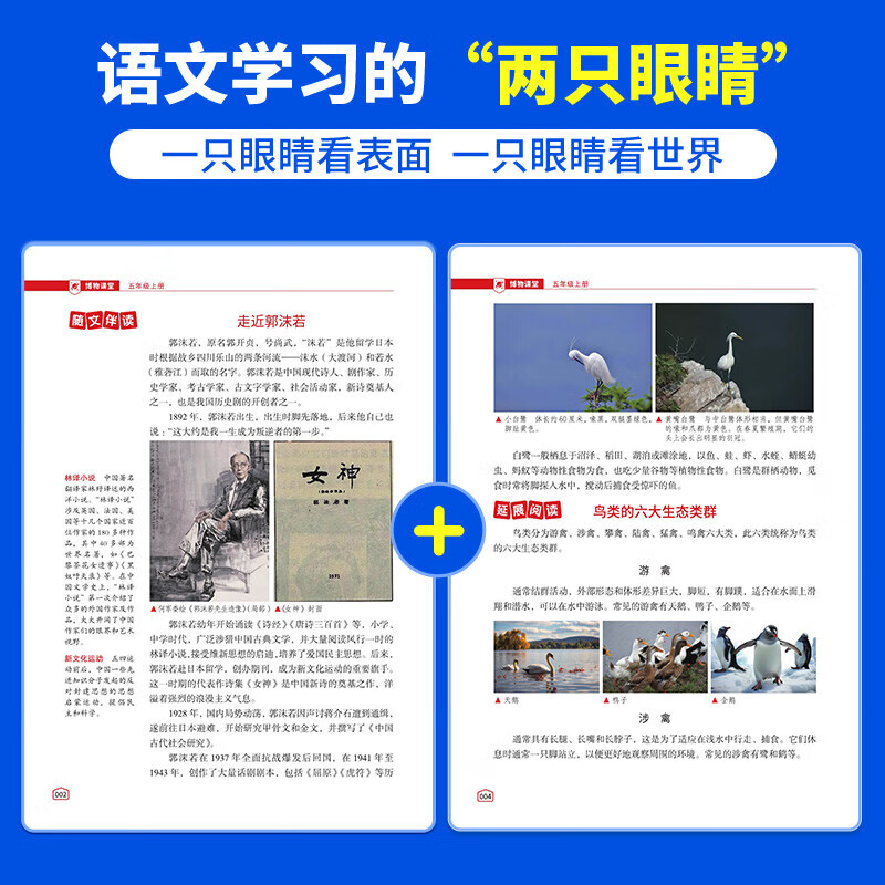 【出版社直发】2026春季新版阳光同学博物课堂五年级上下册 小学生博物课堂语文五年级同步阅读教材辅导书人教版 全国通用课本寻宝语文学习大百科全书 【2册】五年级上册+下册