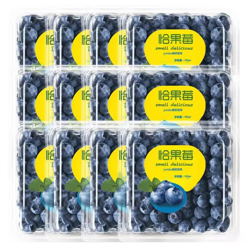 京满福蓝莓 新鲜蓝莓 当季水果 宝宝孕妇 国产时令生鲜整箱 带箱3斤 单果15mm+净重12盒*100g