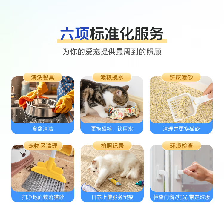 【轻喜到家】 上门喂宠物 同城保洁上门服务 上门喂猫喂宠物服务 上门喂猫-单次 ≤3只(约30分钟) 全国68城