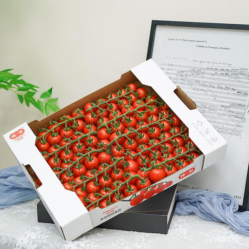 柿一家串收樱桃小番茄1kg/箱新鲜办公室水果零食可生吃小西红柿圣女果 红番茄【到手2盒+送手提袋】 2kg