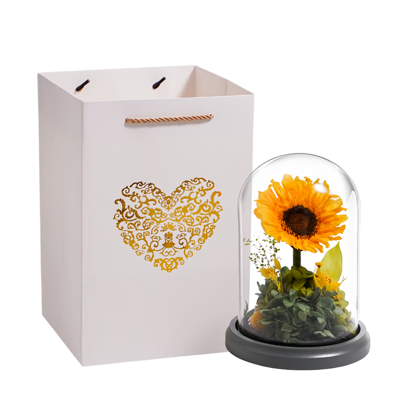 Para Ellaտ߼Ůжʥڸߵʵþ¼