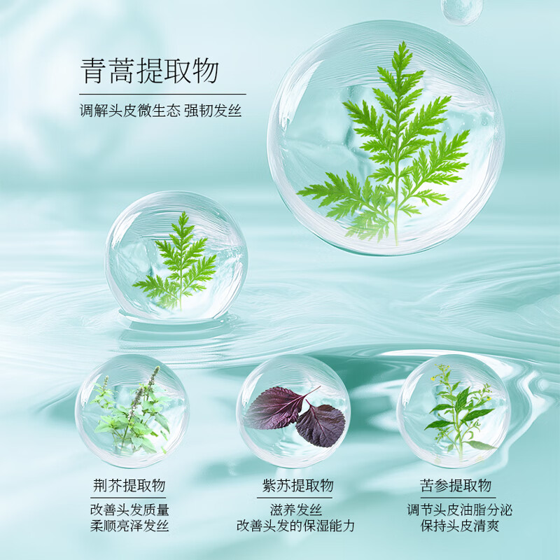 两面针(LMZ)青蒿植物精粹护发素 顺滑毛糙 改善受损强韧发丝 柔顺秀发500ml