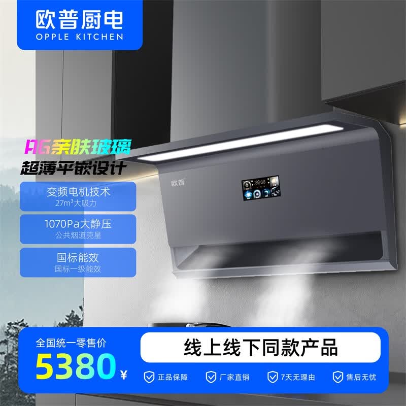 欧普照明（OPPLE）/一级能效/超薄平嵌系列/家用抽油烟机/DC801油烟机+DBA66燃气灶 灰色