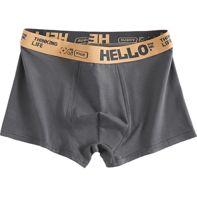 男士内裤男透气四角平角裤男生青少年运动短裤头男生裤衩 深灰色 1条 3XL