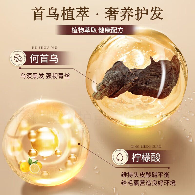 南京同仁堂生姜何首乌洗发水露植物萃取去屑控油止痒个人护理男女士品牌正品 【活动价】1瓶装【500ml/瓶】 【有防伪标志买的放心】