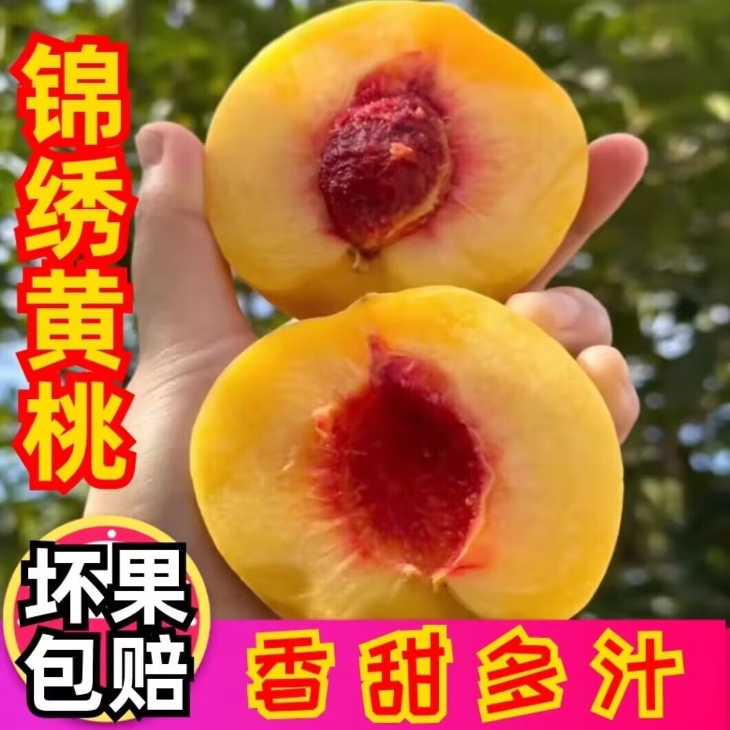 【锦绣黄桃】山东蒙阴蜜桃 自家果园 现摘现发 新鲜水果 4.5斤普通箱(12个果以内) 京东折扣/优惠券