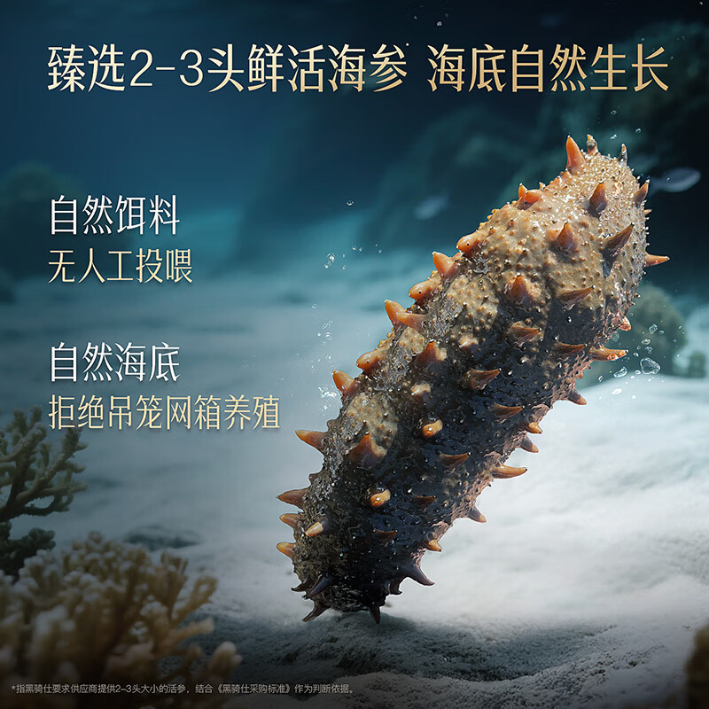 黑骑仕鲜蒸海参17g双周套餐大连野生辽参滋补品孕妇送礼即食 【单周套餐-海洋源鲜味】17g*7支