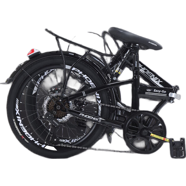 ˣPhoenix۵гŵŮѧЯͨڴ207 655.2Ԫ()