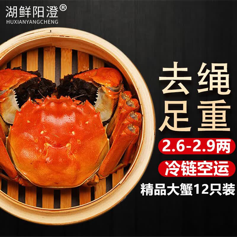 【活蟹】湖鲜阳澄 大闸蟹 去绳足重 2.6-2.9两 12只 鲜活六月黄现货超大螃蟹海鲜礼盒装