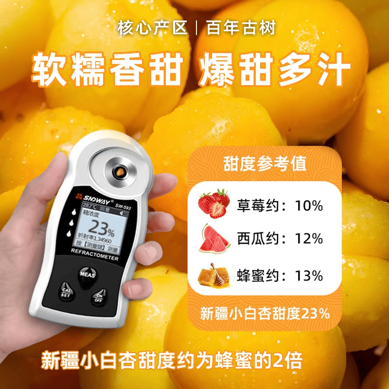 【新疆直发】正宗新疆小白杏新鲜轮台吊杆杏水果整箱团购送礼 净重精选果4斤【京东空运】