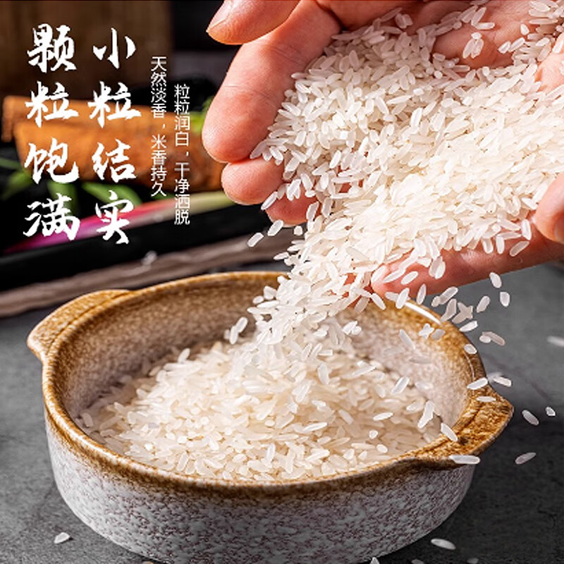 汇知稻正宗东北圆粒香大米煮饭香糯 煮粥浓稠 商超同款家用10斤装 东北圆粒香大米*5kg