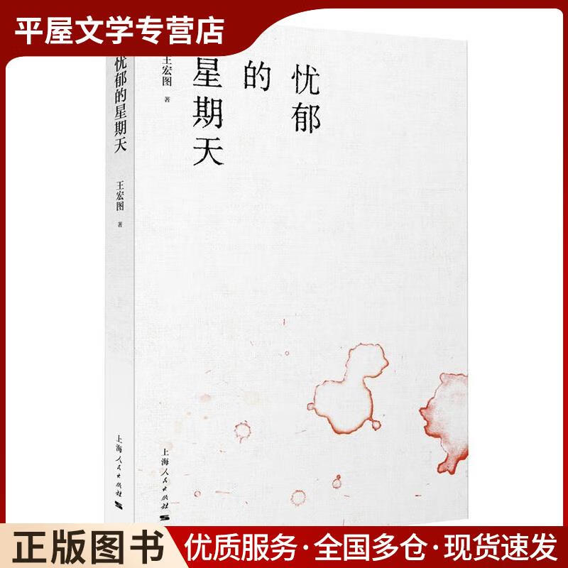 正版旧书忧郁的星期天王宏图 著上海人民出版社9787208132078