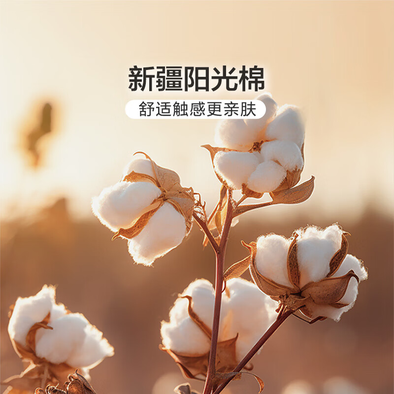 馨而乐(Bravo)富安娜出品纯棉全棉被套单件40支纯棉被罩床上用品203*229cmt