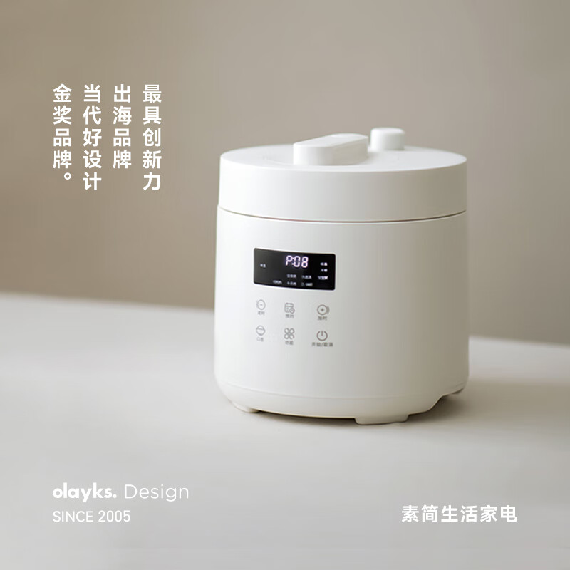 olayksʱѹС2.5Lѹ2-4ܵѹѹ󿪸֭ѹ緹๦ܵ緹 հ 2.5L 