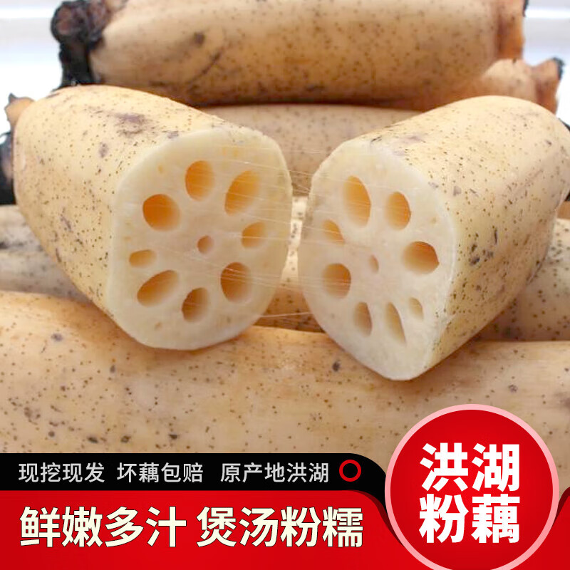 华贵新鲜洪湖粉藕脆藕花藕粉藕煲汤火锅食材现摘带泥蔬菜 洪湖粉藕1斤